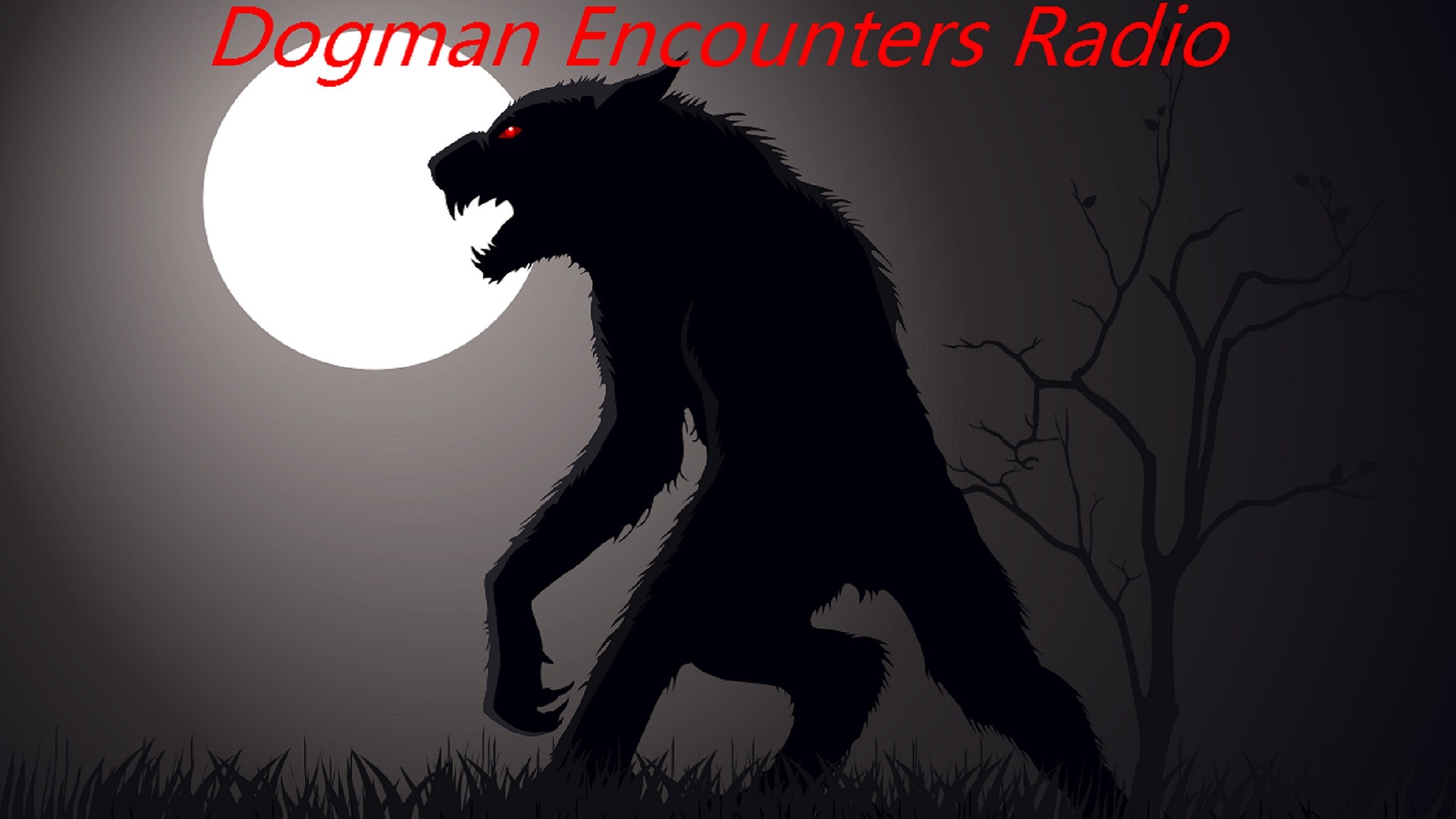 Missing Submitted Dogman Reports