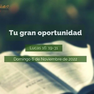 Portada de Tu gran oportunidad