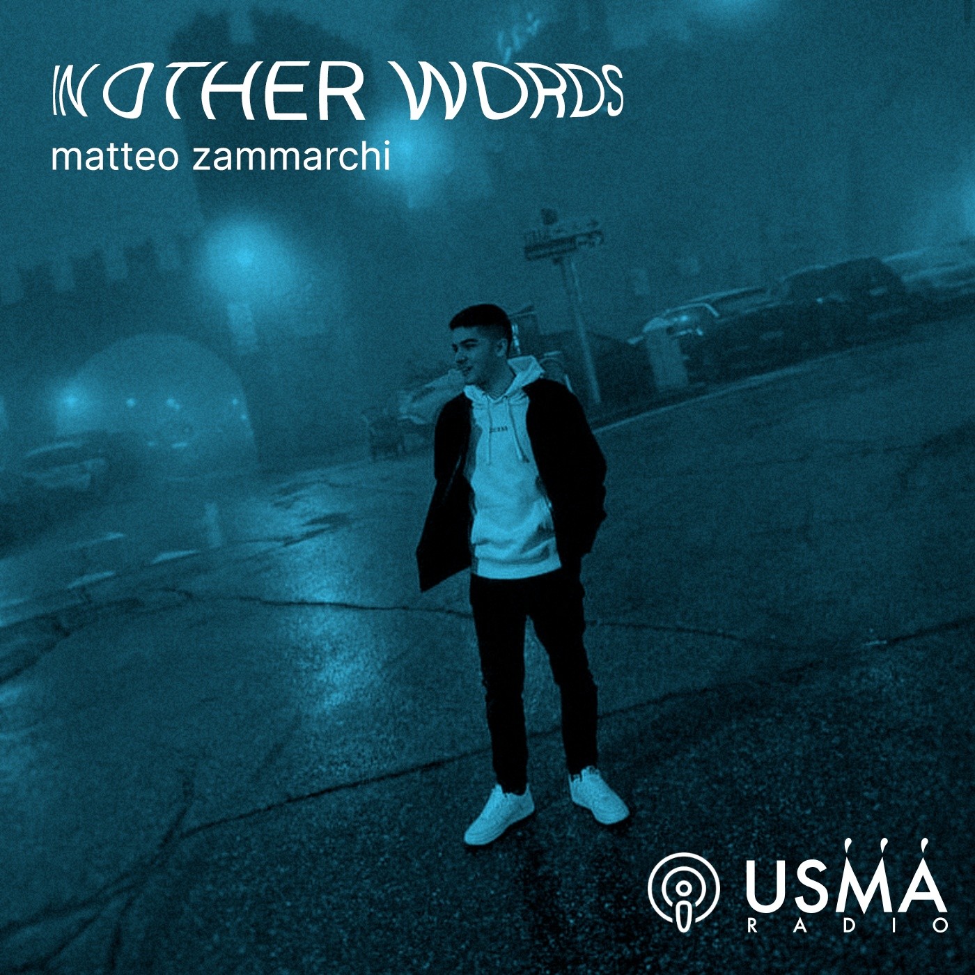 In other words – Matteo Zammarchi