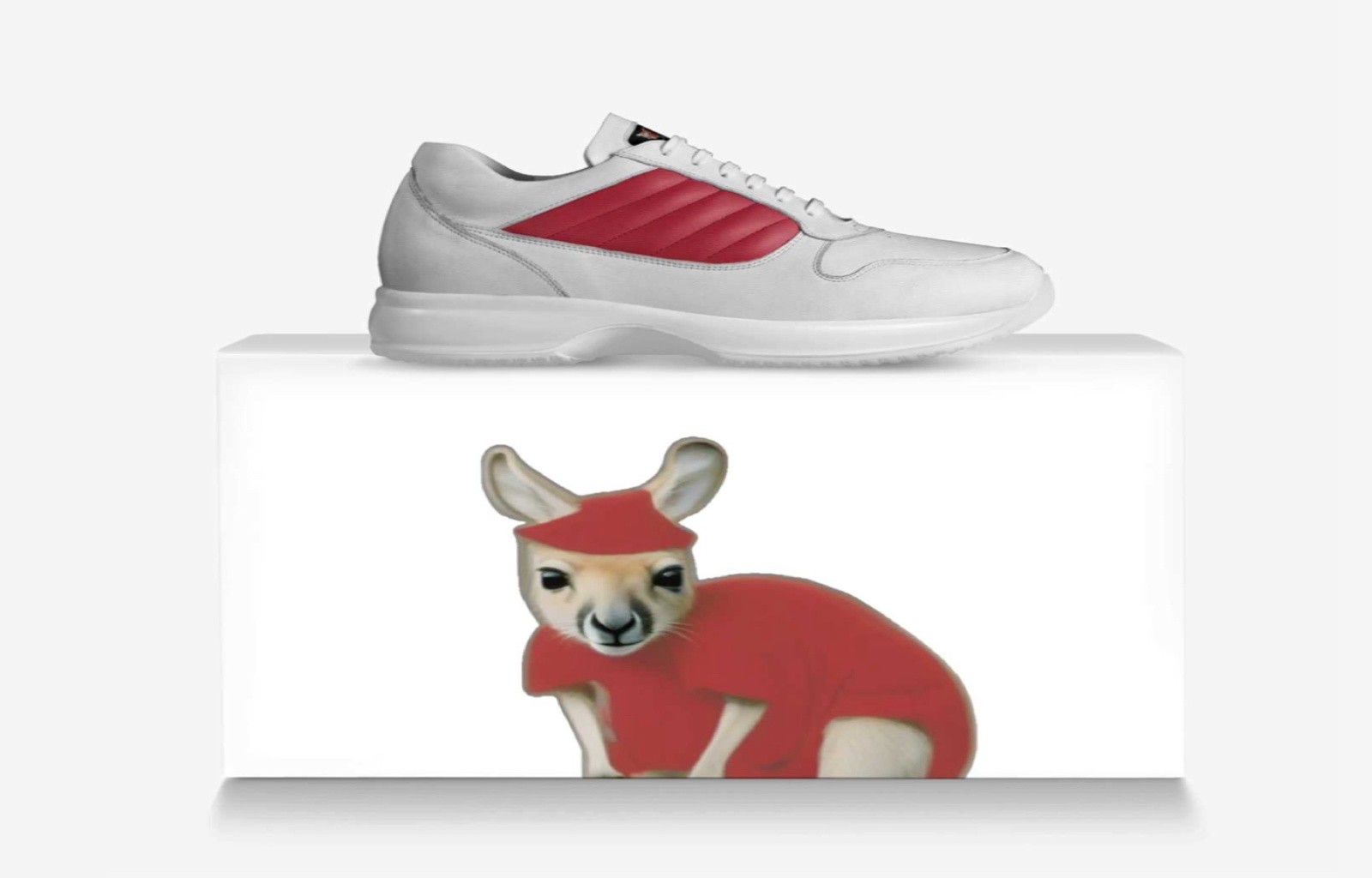 Trying to Sell Shoes