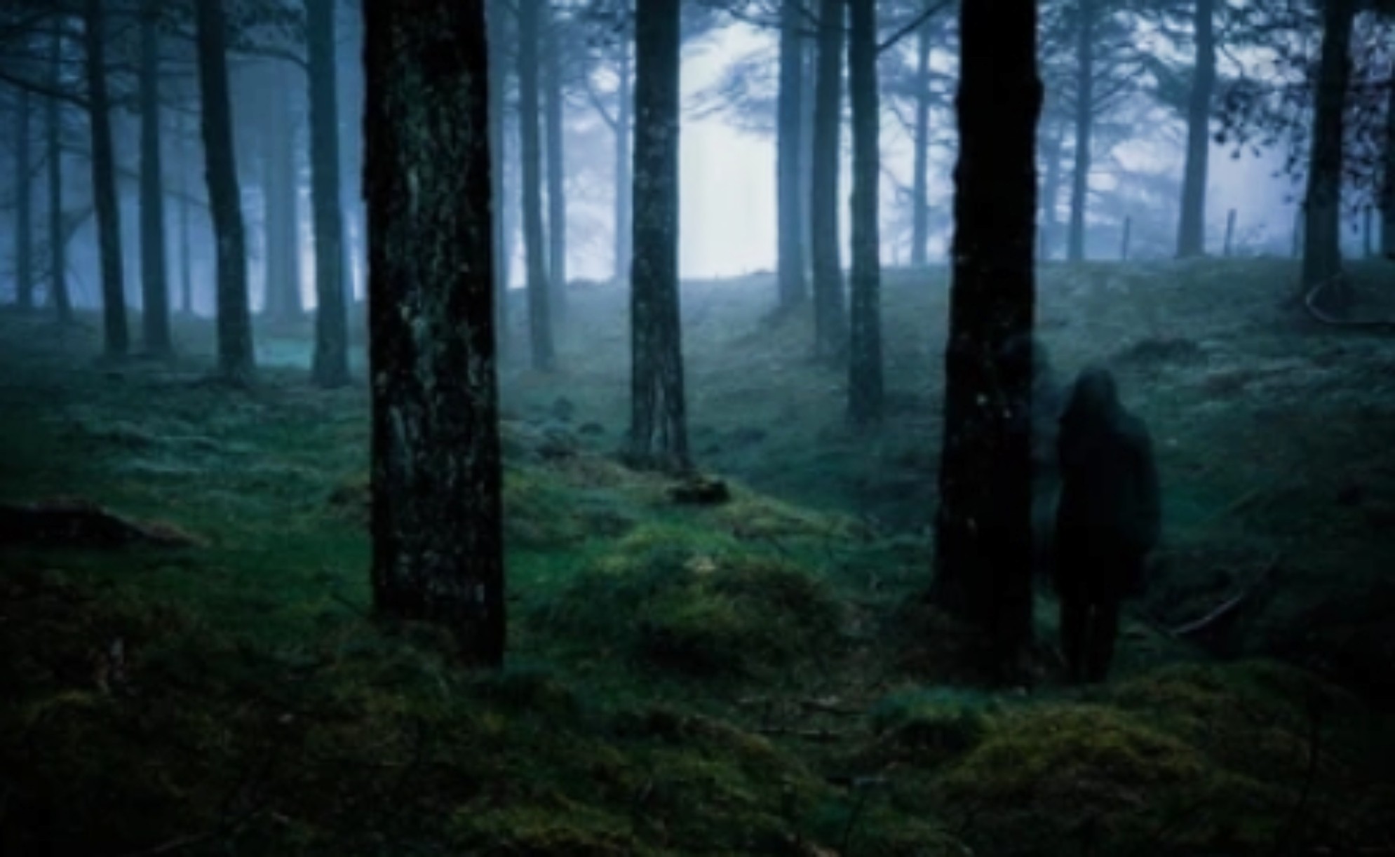 This weeks Podcast centres on Stories of Werewolves, Feral People and the Invisible Beings
