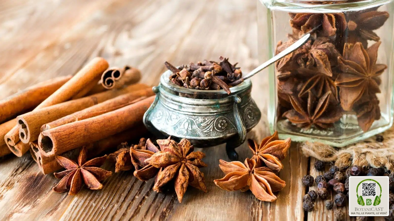 Ma tu, le piante, le vedi? | Episodio 4: L'epifania, le piante natalizie se le porta via