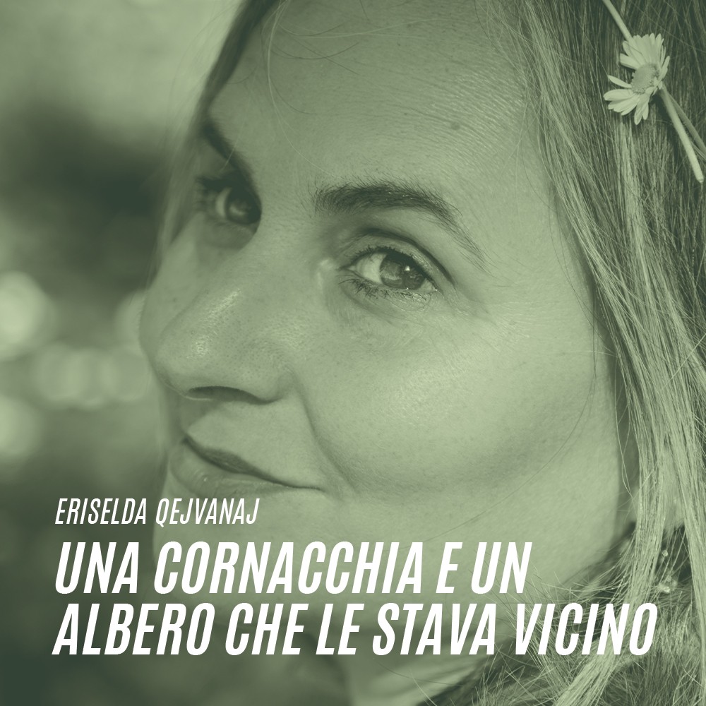Una cornacchia e un albero che le stava vicino