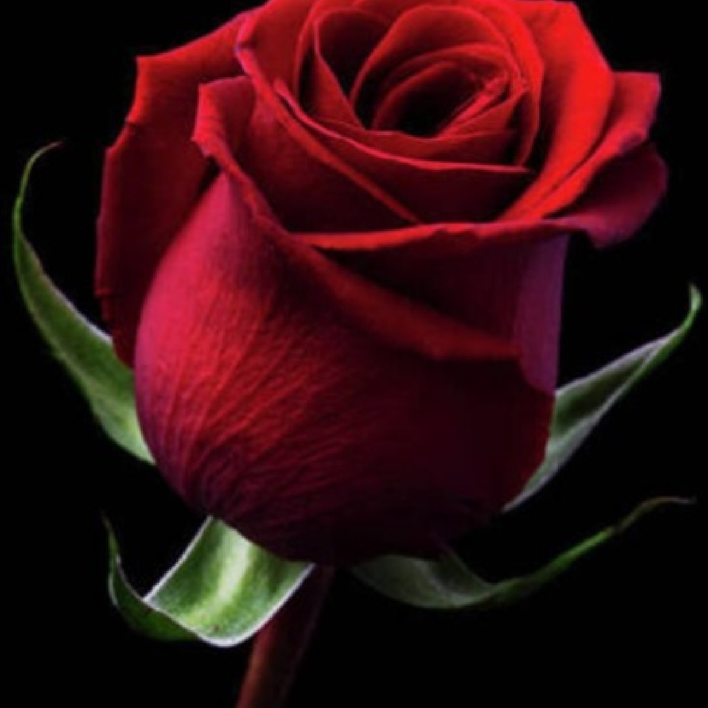 Love Is...What Love Does.