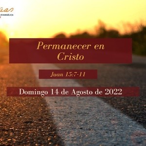 Portada de Permanecer en Cristo