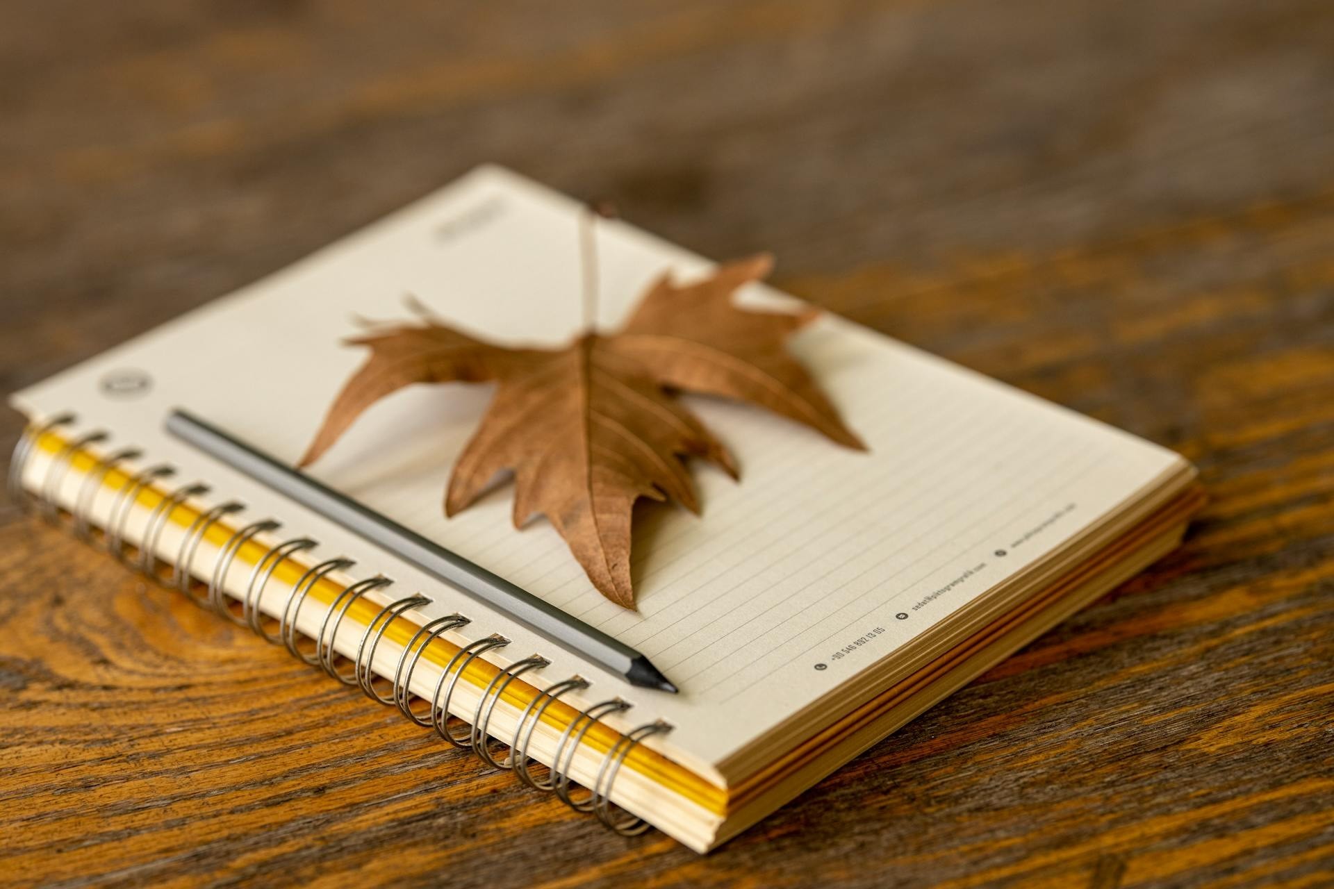 Journaling Questions to Inspire You