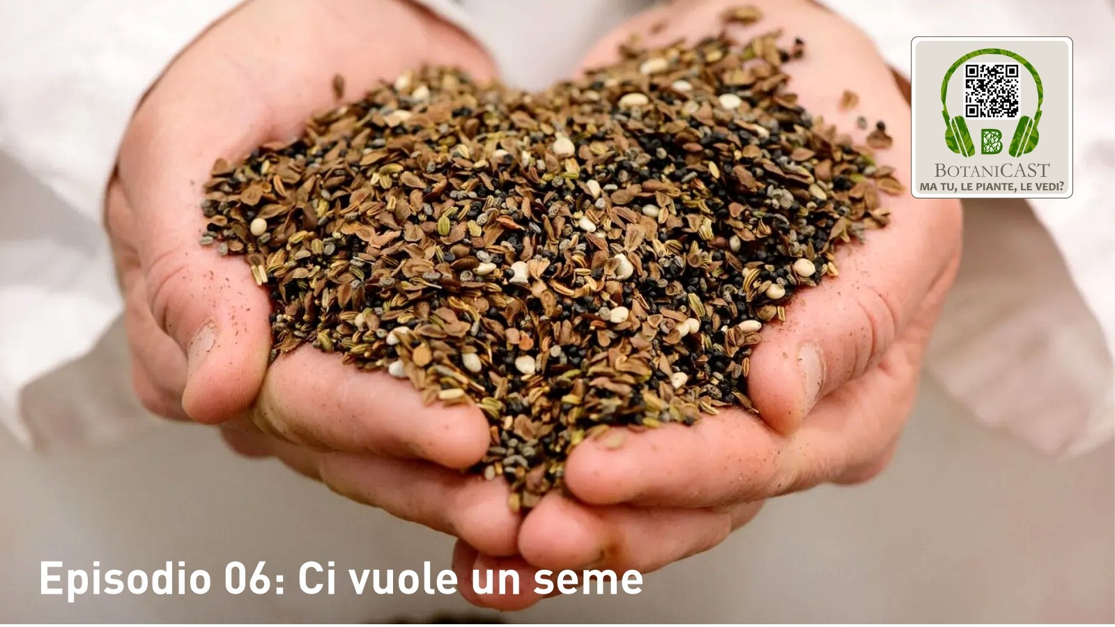 Ma tu le piante le vedi? | Episodio 06: Ci vuole un seme