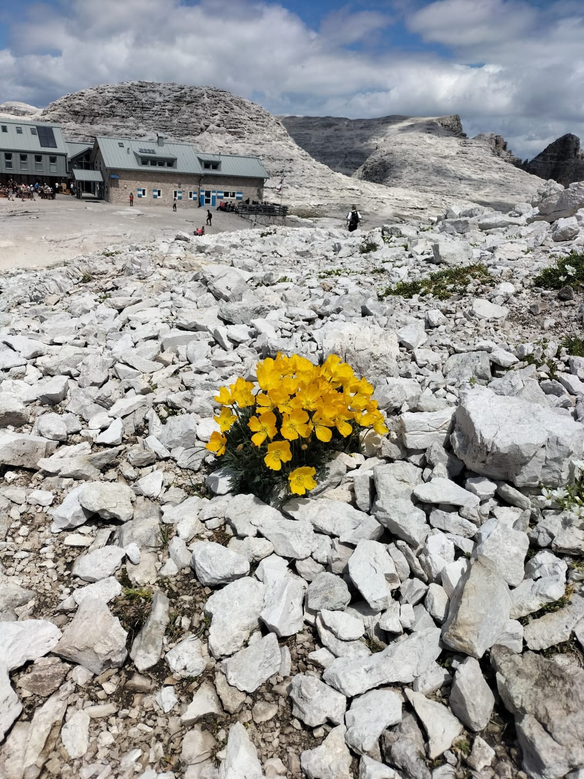 Il mio reportage: FOTO 2
