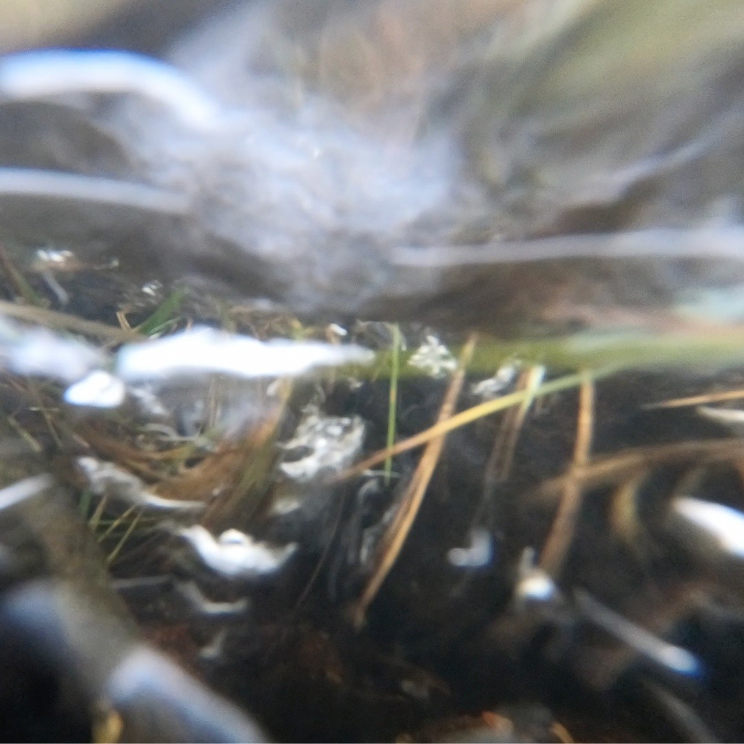 3 | Watered | Re-Peat Moss