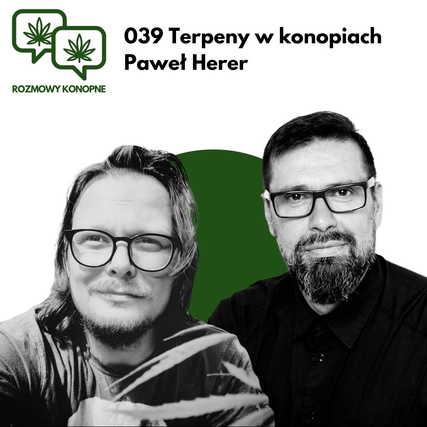 Okładka odcinka: Terpeny w konopiach — Paweł Herer o wpływie na efekty i dawkę THC (odc. 039)