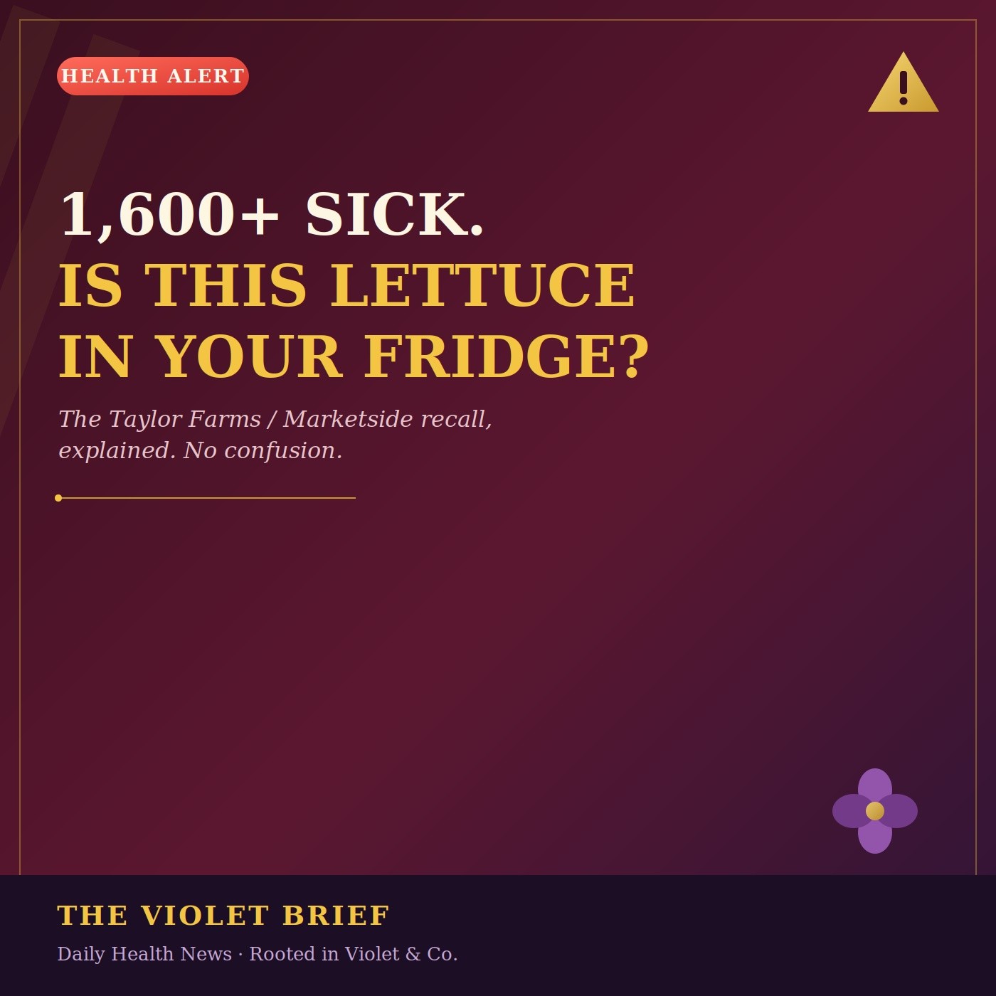 The Real Scope of the Lettuce Outbreak: What You Need to Know |The Violet Brief
