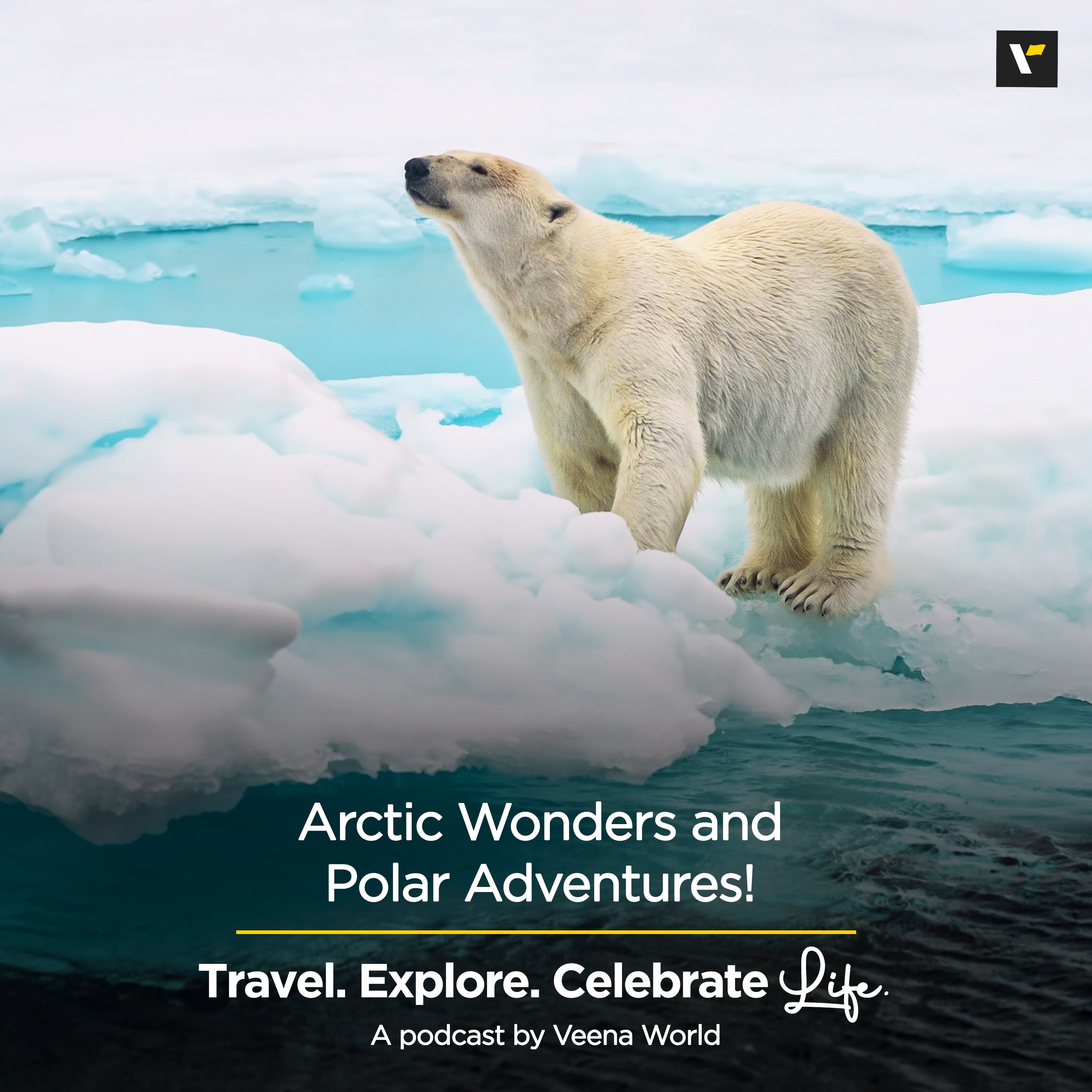 Arctic Wonders and Polar Adventures! | Travel Podcast
