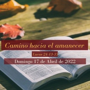 Portada de Camino hacia el amanecer
