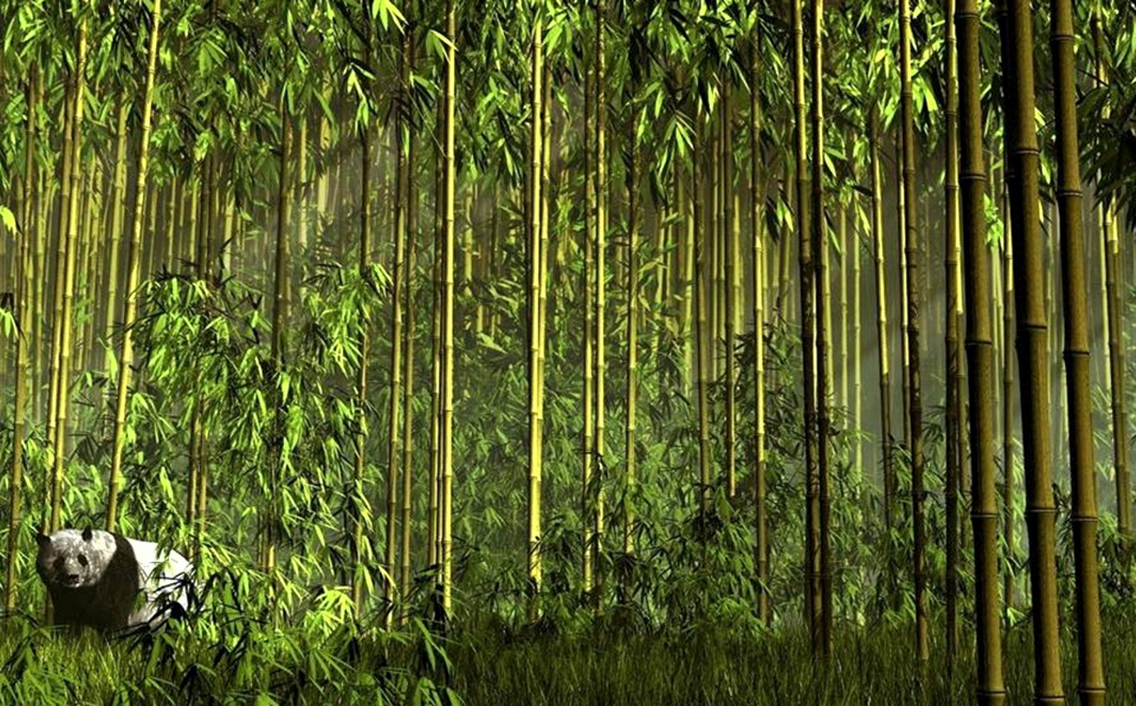 Inizia la seconda stagione: Ma tu, le piante, le vedi?