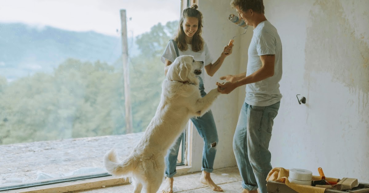 ¿Cuántos Metros Cuadrados Necesitamos Realmente para Vivir?