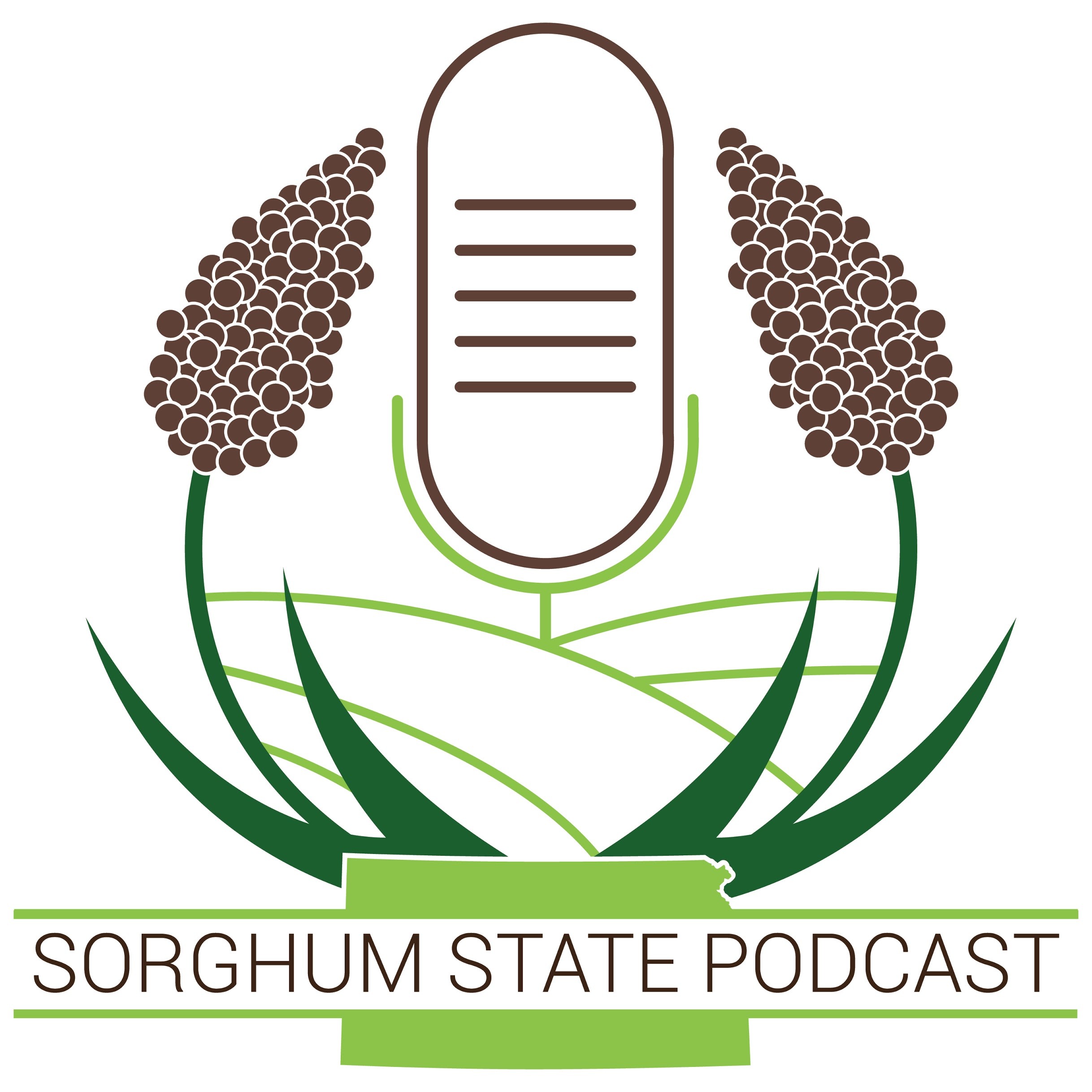 2025 Sorghum Harvest Update | Daniel Riffel | Kansas Grain Sorghum