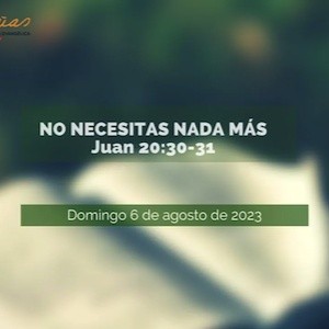 Portada de No necesitas nada más