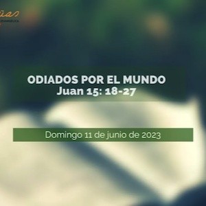 Portada de Odiados por el mundo