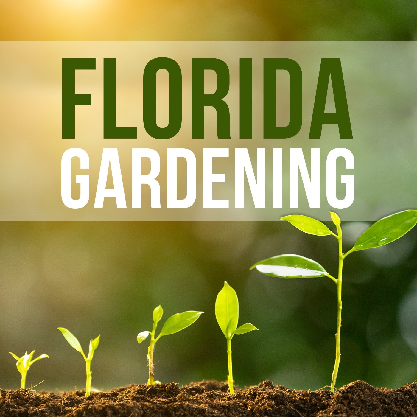 Joe Talks Irrigation on Florida Gardening Podcast Sunrise Irrigation & Sprinklers
