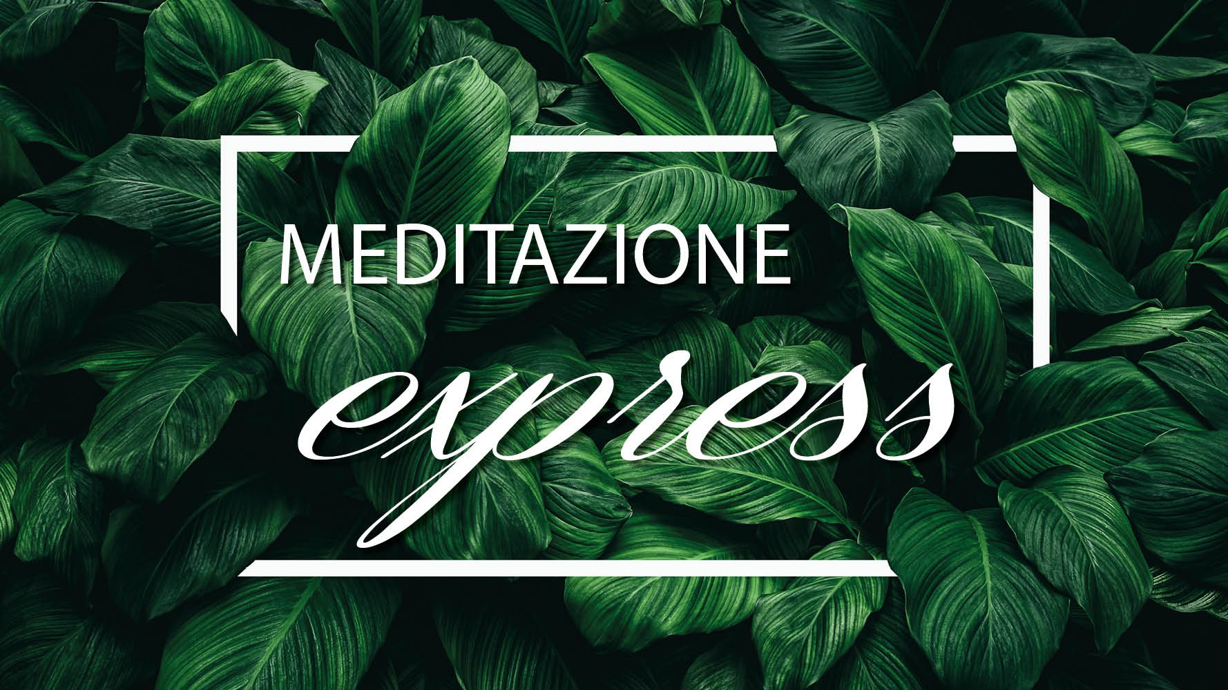 Benvenuto nel tuo spazio di Benessere