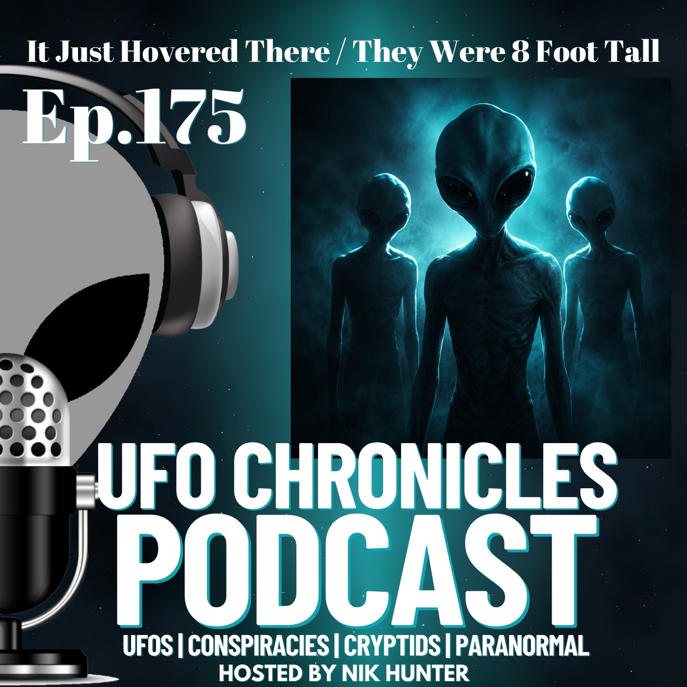 Ep.175 It Just Hovered There / They Were 8 Foot Tall artwork