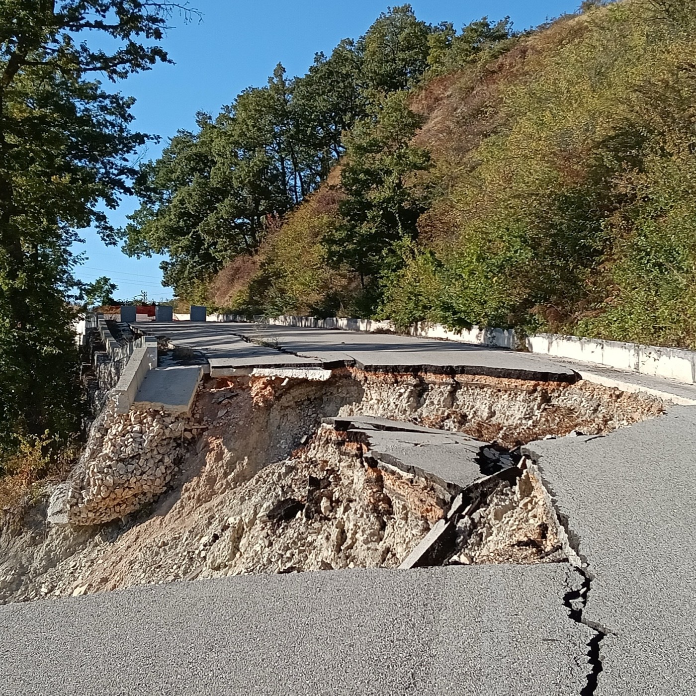Se Tutto Va Bene Saremo Rovinati