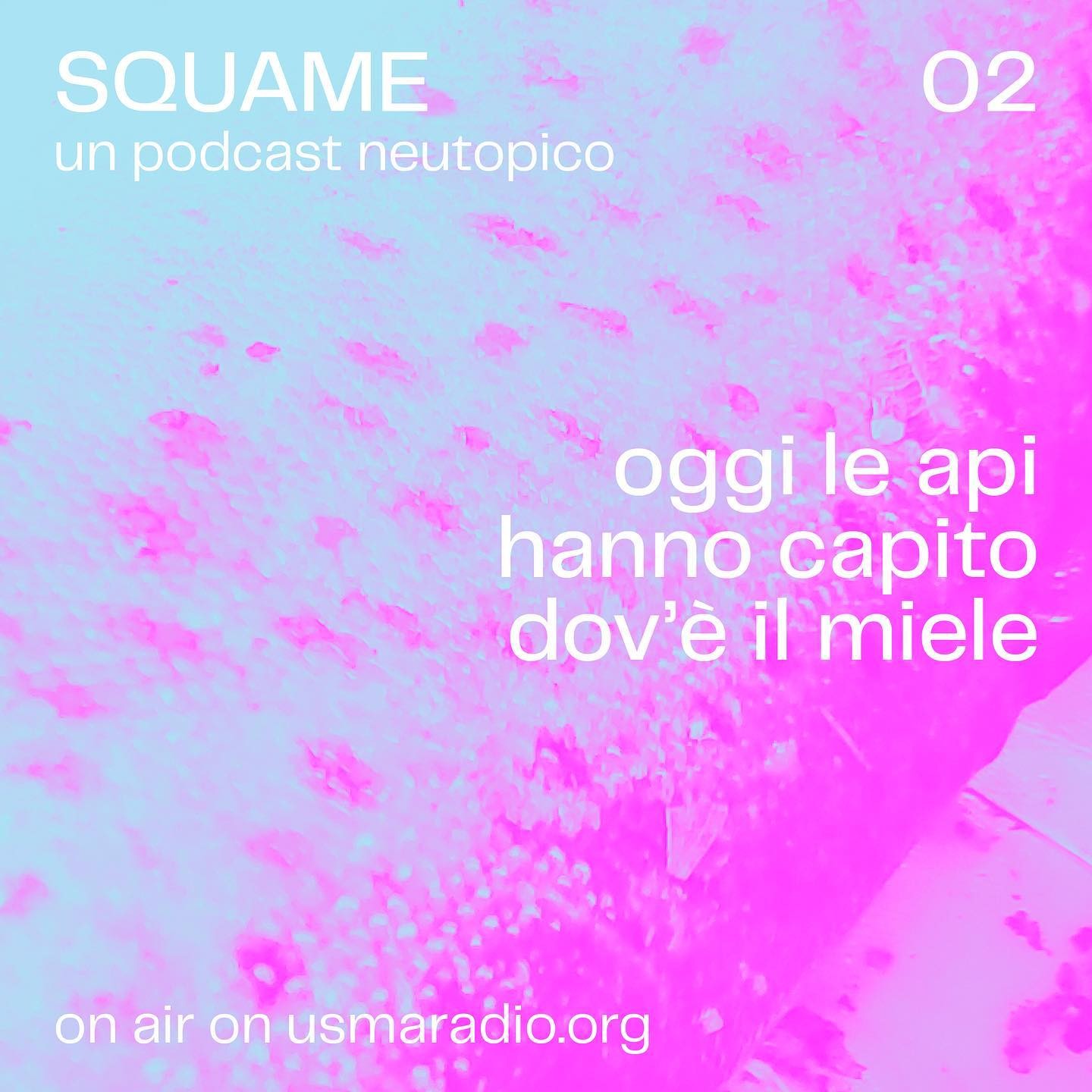 SQUAME – 2 | Oggi le api hanno capito dove è il miele