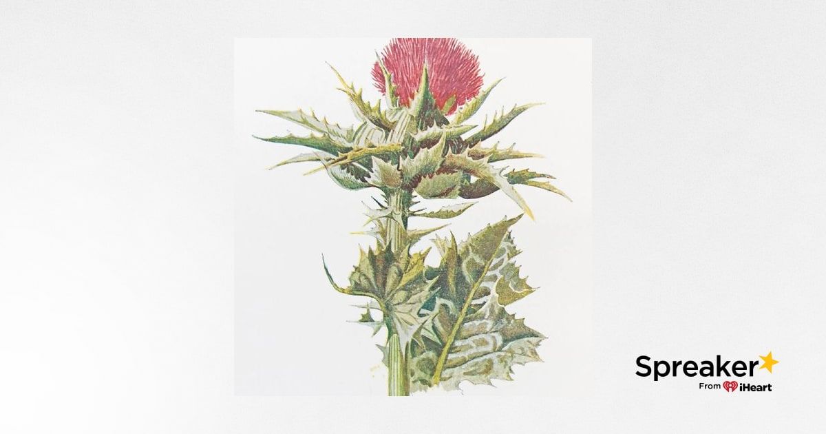 Show 123: Milk Thistle, New Videos and our government finally admits the truth