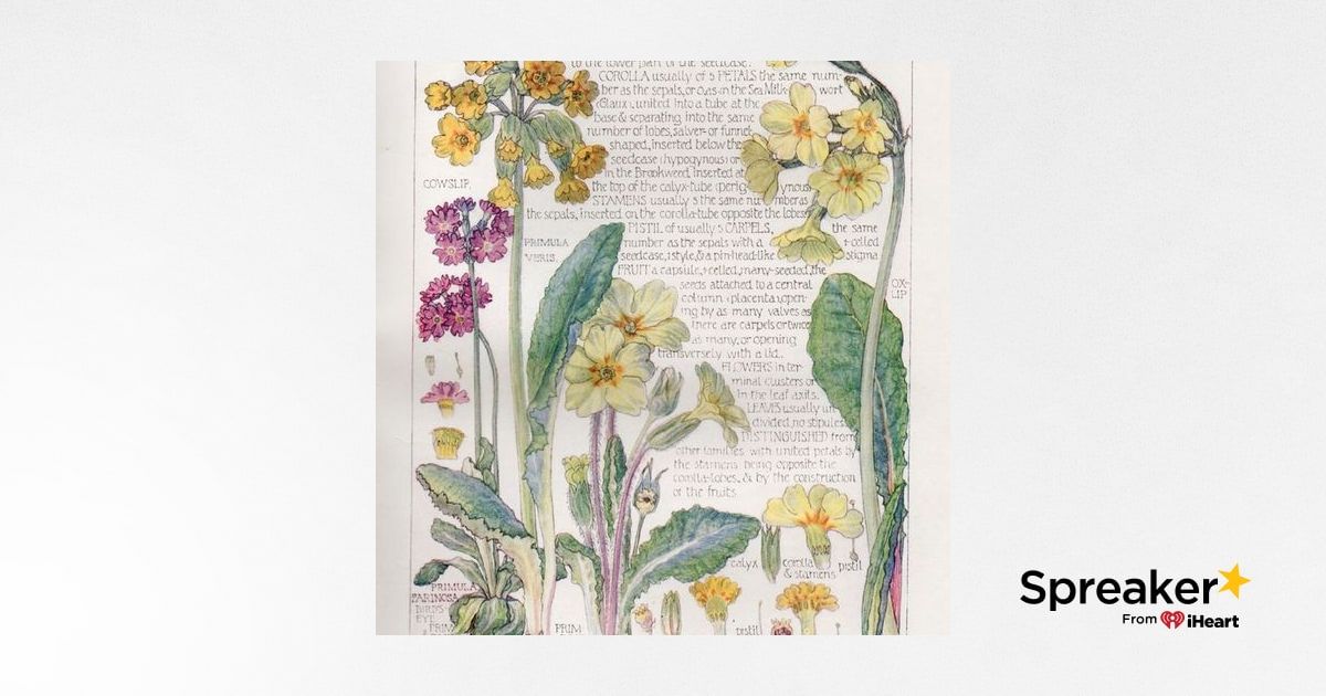 Show 56: Herbs for Rashes