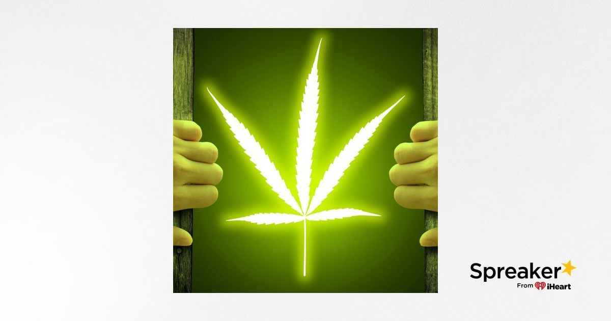 anti marijuana legalization essay anti marijuana legalization essay
