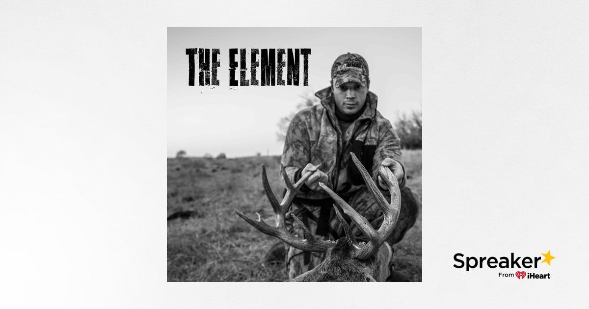 E250 Everything You Need To Know About BROADHEADS (Do Field Points Matter for Practice