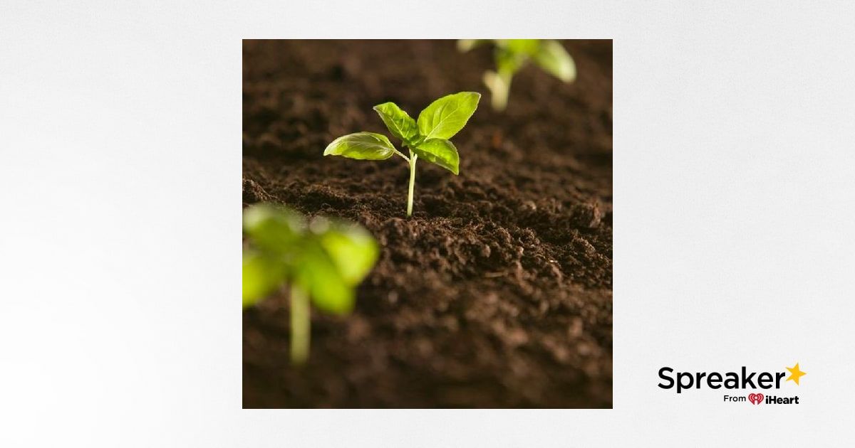 Episodio 1: Importancia de un medio ambiente sano.