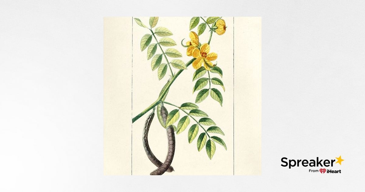 Show 139: Medicinal Senna and 2 Recipes for Frog Legs