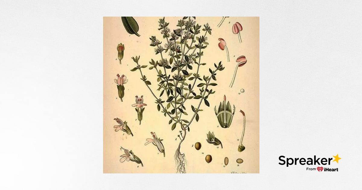 Show 143: Thyme and Tomatoes