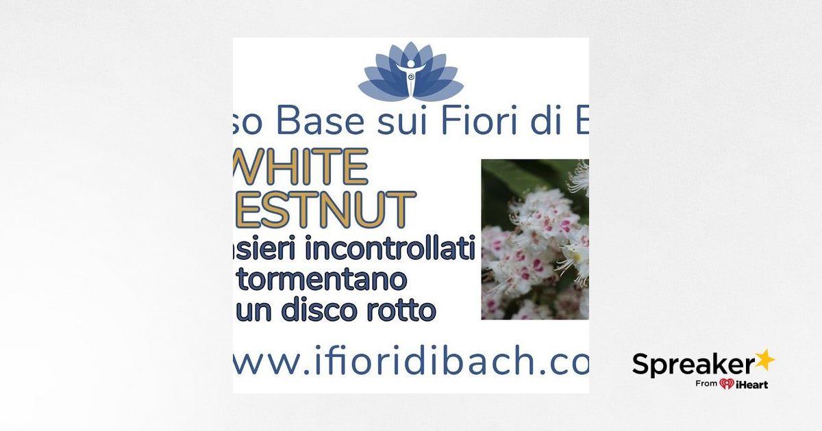 White Chestnut - fiore di Bach per chi ha la mente continuamente invasa da  pensieri spiacevoli e non voluti