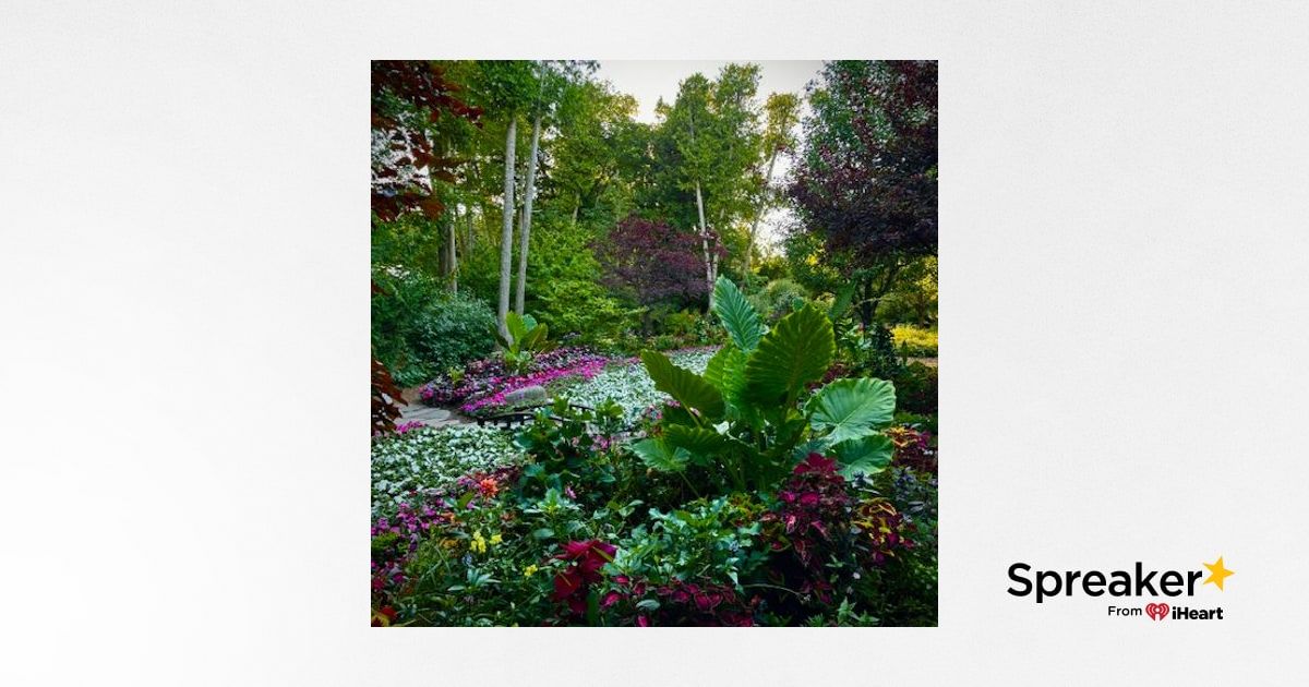 I Drank Myself to Death