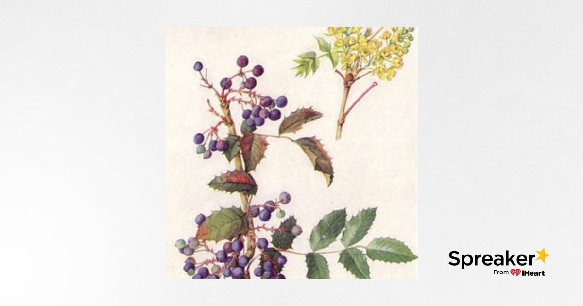 Show 128: Barberry, Corn, Ramps and Hostas