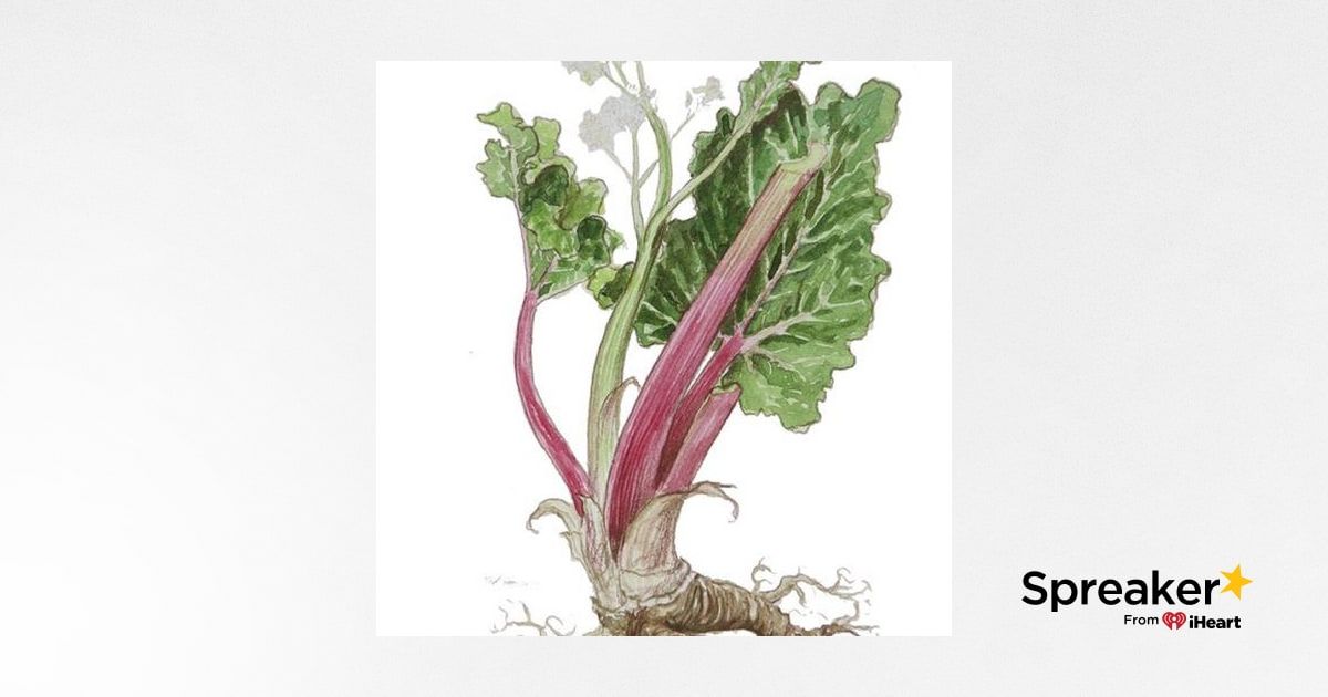 Show 133: Rhubarb, Red Rice and Jambalaya