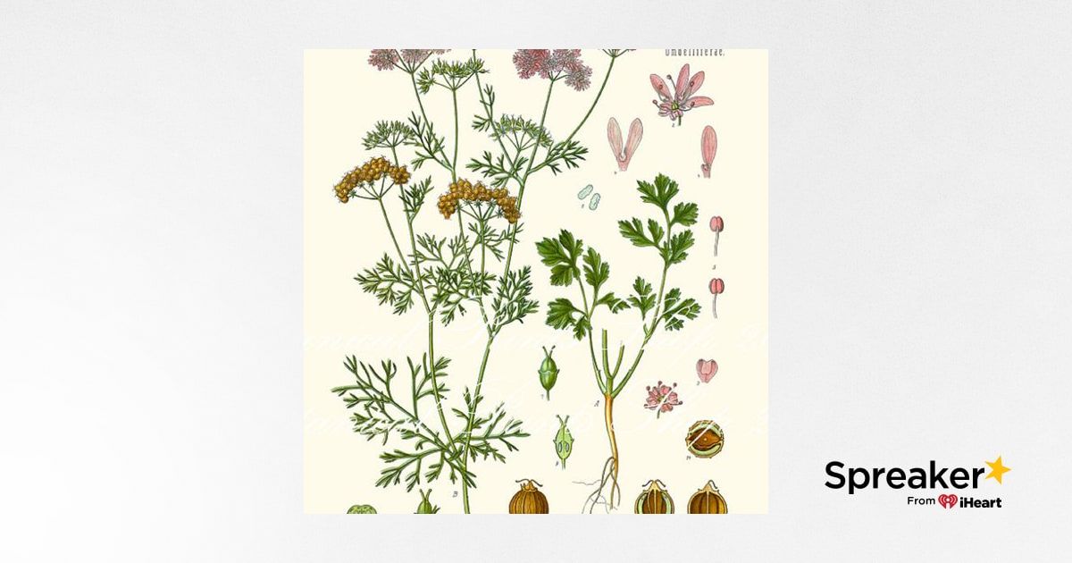 Show 94: Coriander, Cilantro and why food matters