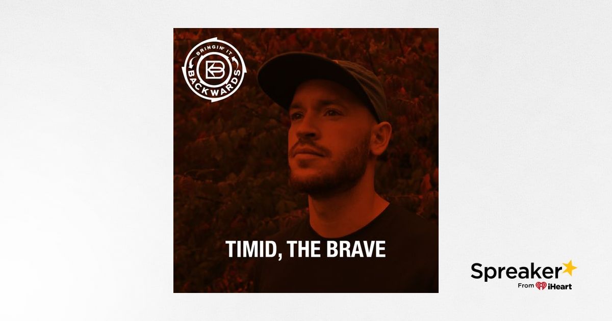 Interview with Timid, the Brave