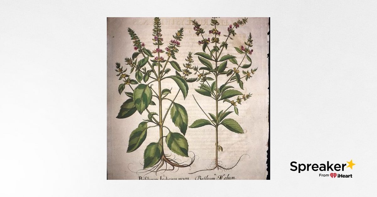 Show 112: Basil, Oregano and a Merry Christmas!