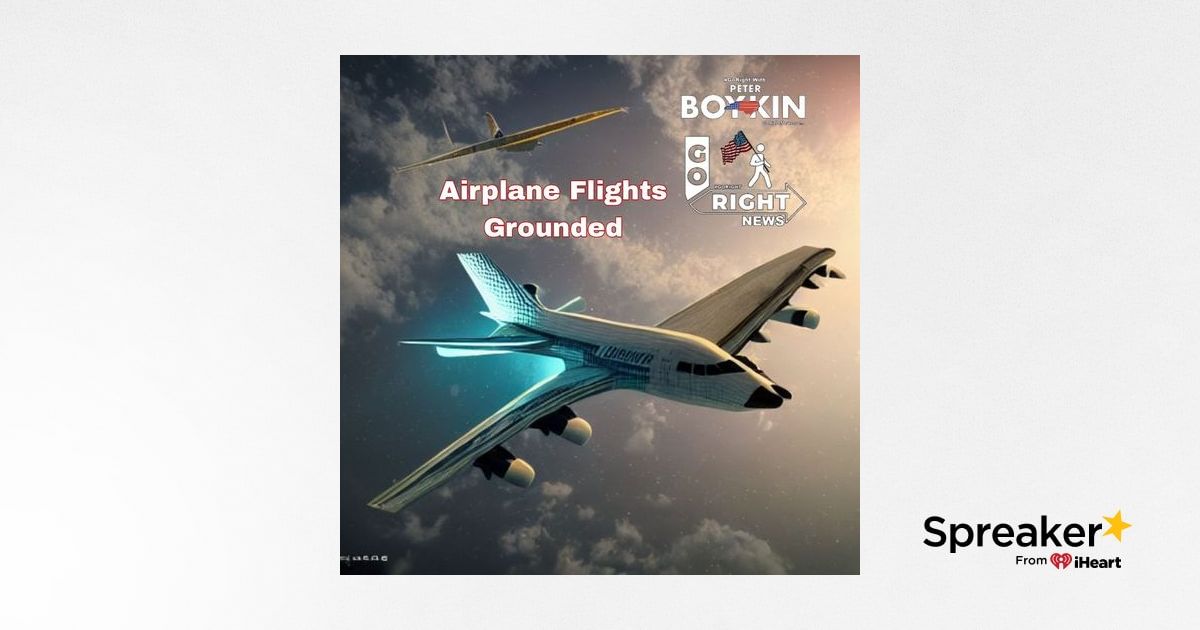 Airplane Are Flights Grounded