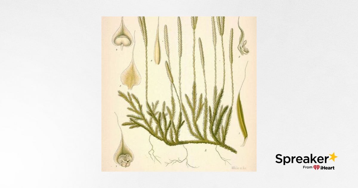 Show 93: Fall Gardening and Club Moss