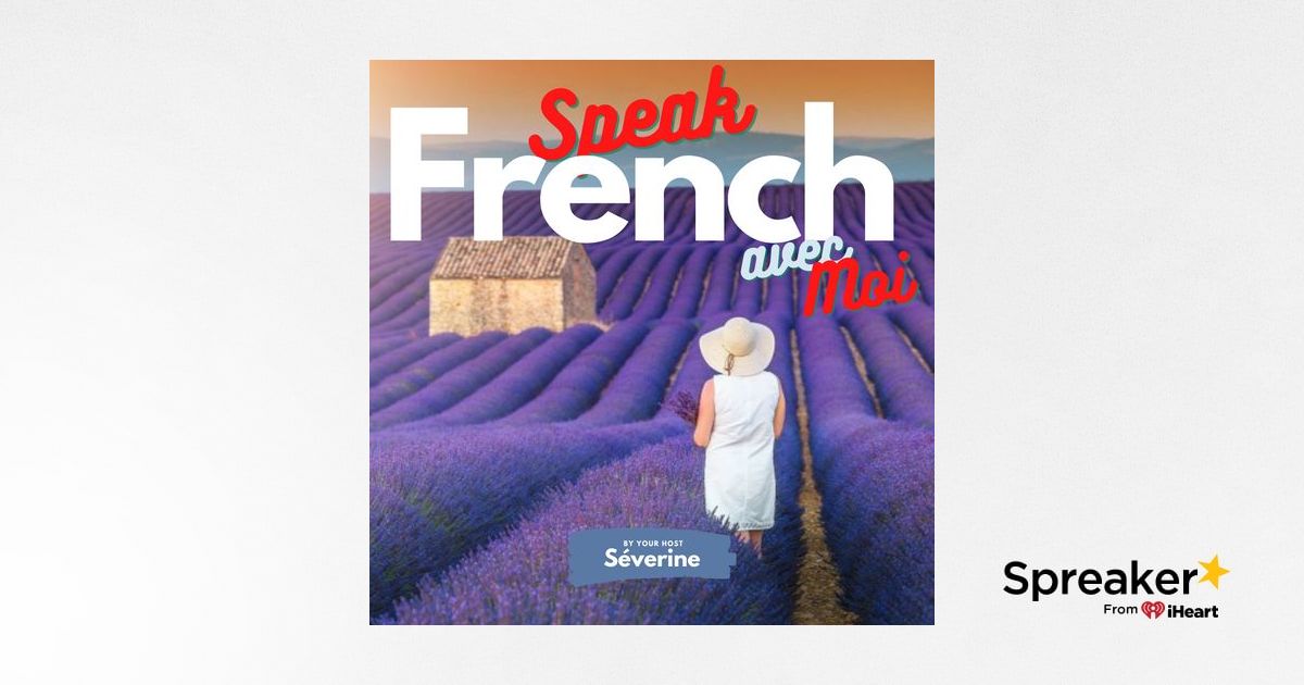 Bootcamp #18- Who What When Where Why How In French!