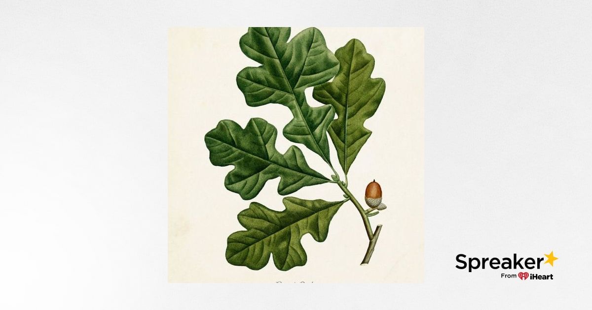 Show 66: Herbs for Diarrhea