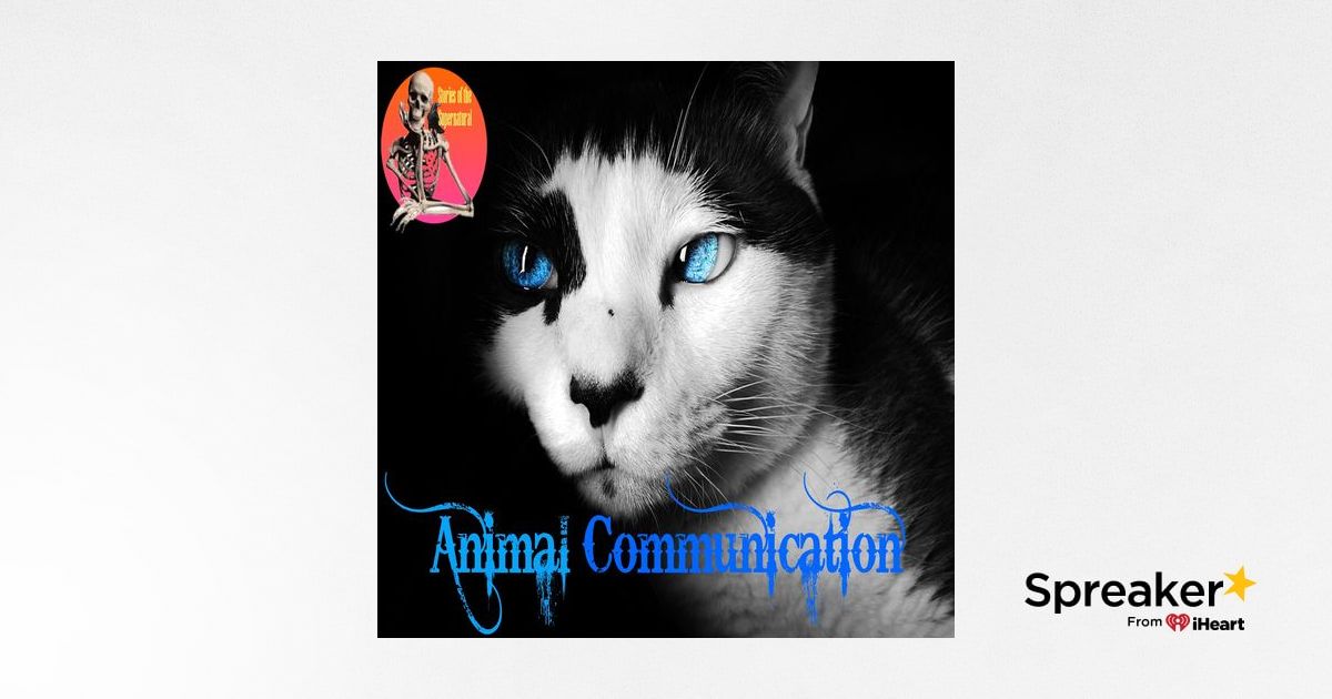Animal Communication | Interview with Penelope Smith | Podcast