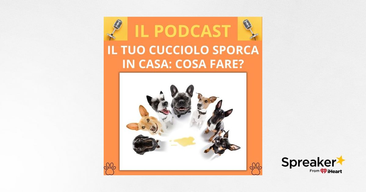 10_Cosa fare quando il tuo cane (cucciolo) fa i bisogni in casa