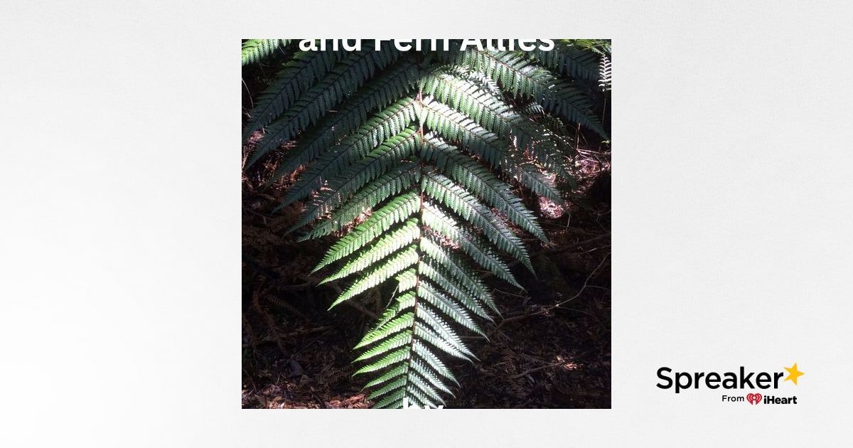 Show 109: Medicinal Ferns, Surprises and Miracles