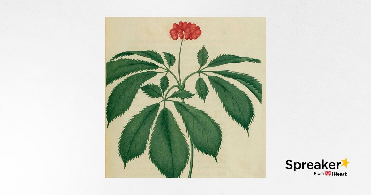 Show 82: How to Become a Master Herbalist - Life Lessons from Old Men and Baseball