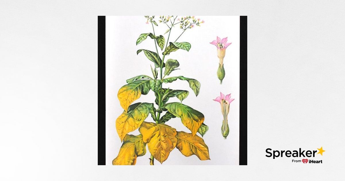 Show 63: Herbs for Venomous Bites and Stings